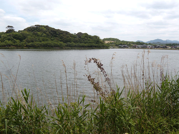b0159611_22484682.gif