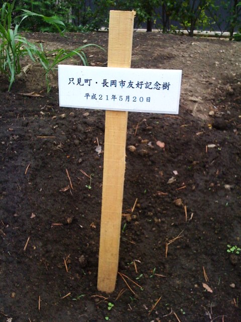 長岡の_d0039111_17234957.jpg