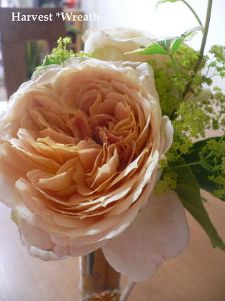 c0101913_23311793.jpg
