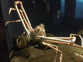 e0102214_1204823.jpg