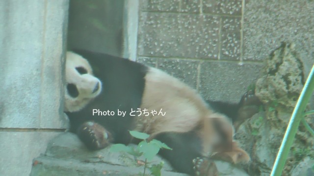 f0079716_22212272.jpg