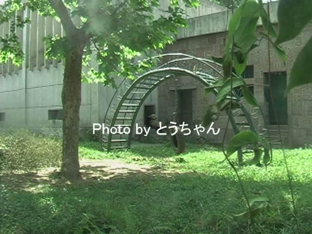 f0079716_22243997.jpg