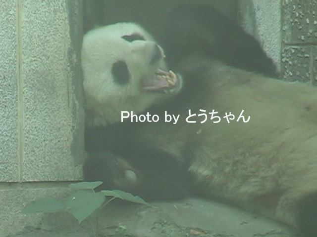 f0079716_22393443.jpg