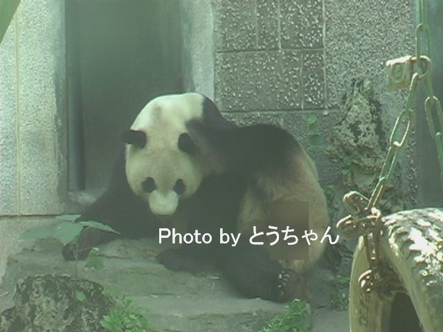 f0079716_22412252.jpg