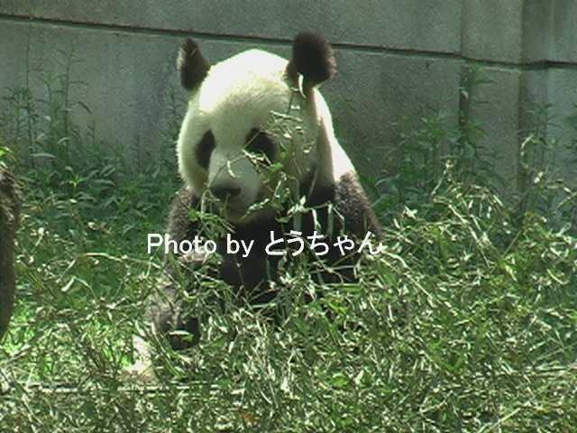 f0079716_2242419.jpg