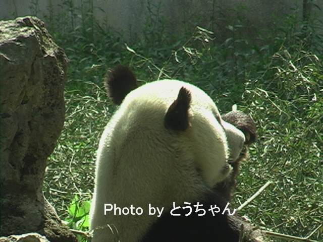 f0079716_22483535.jpg
