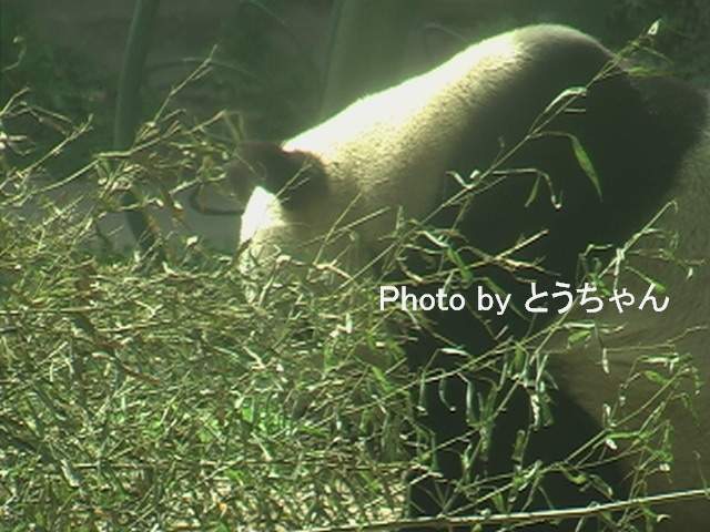 f0079716_22485839.jpg