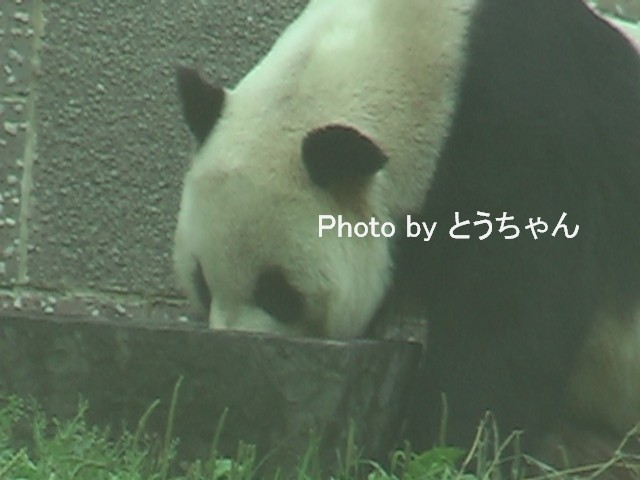 f0079716_2254306.jpg