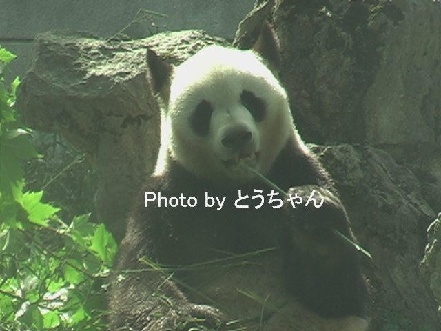 f0079716_22545759.jpg