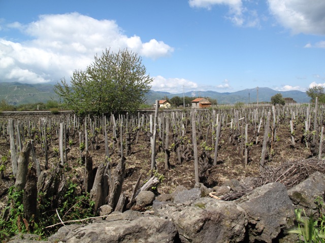 c0159117_15531398.jpg