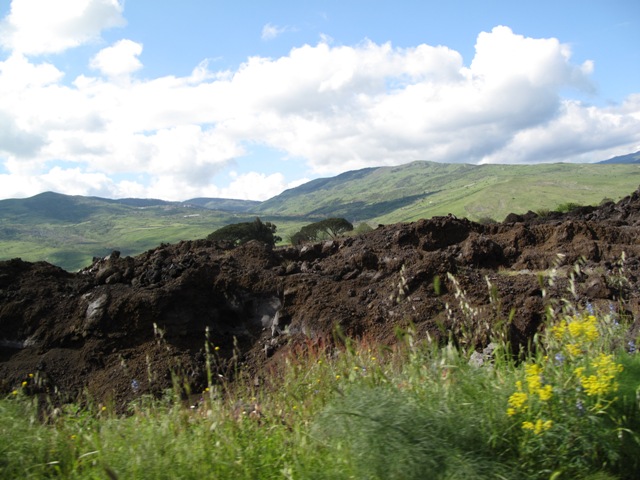 c0159117_1555687.jpg