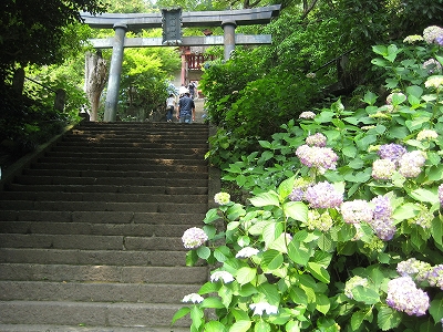 e0170519_003613.jpg