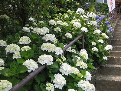 e0170519_005848.jpg
