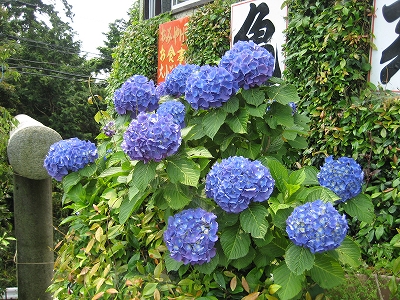 e0170519_012037.jpg