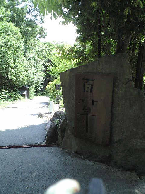 e0123920_955688.jpg