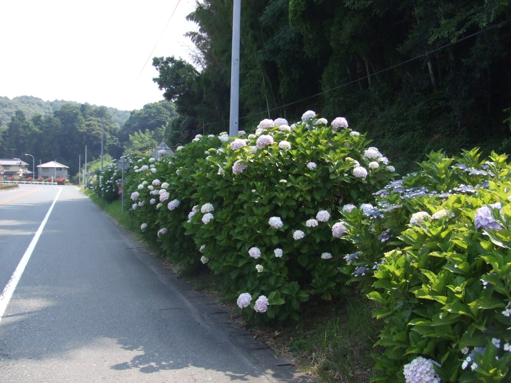 f0149625_284673.jpg