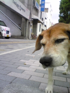e0119327_17173670.jpg