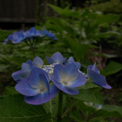 c0182231_850794.jpg