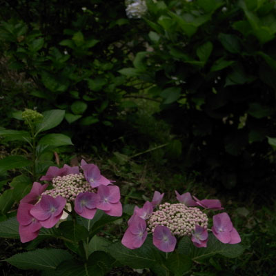 c0182231_8553365.jpg
