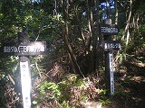 b0014732_16495287.jpg