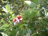 b0014732_16505490.jpg