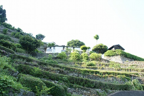 高開集落（徳島県吉野川市）_d0065332_9491765.jpg