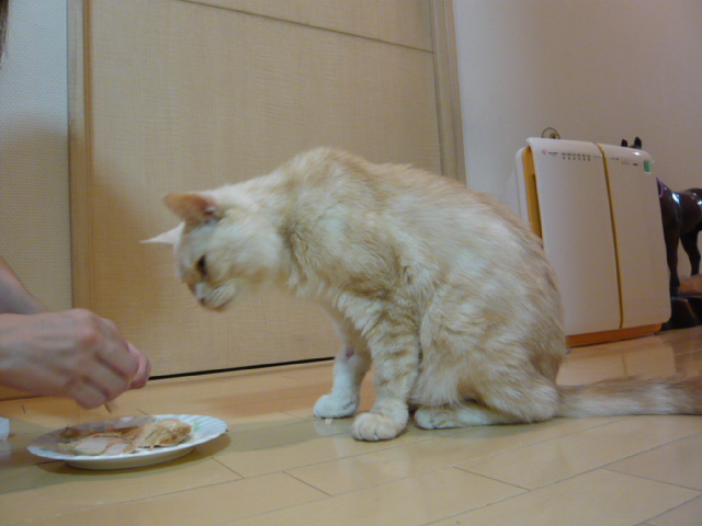 d0044239_21462692.jpg