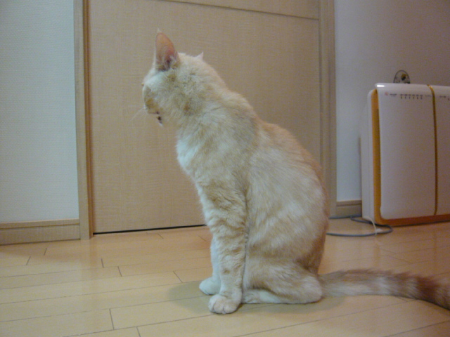 d0044239_21465666.jpg