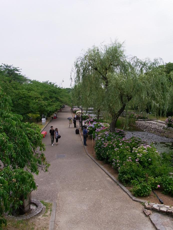 b0017844_20184998.jpg