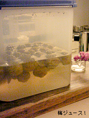 c0029744_232932.jpg
