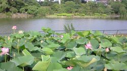 10期生、まだ間に合います。_c0163048_15503583.jpg