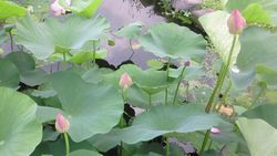 10期生、まだ間に合います。_c0163048_15511226.jpg