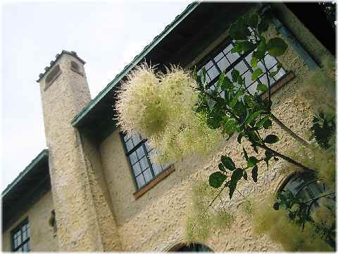 【ベーリックホールの鹿鳴館（「花と器のハーモニー」横浜山手西洋館】_b0009849_8515517.jpg