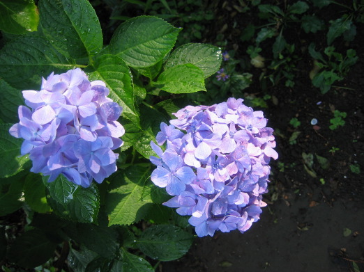 b0072051_20424356.jpg