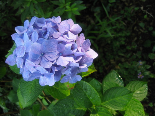 b0072051_20431732.jpg