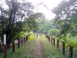c0001653_10585178.jpg