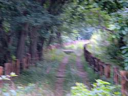 c0001653_1102513.jpg