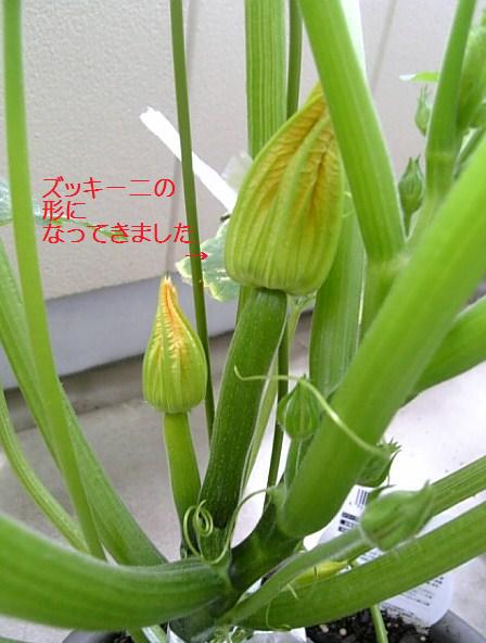 c0115560_2003590.jpg