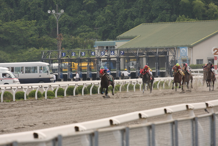 2009年6月13日（土） 高知競馬 3R D5_a0077663_13204867.jpg