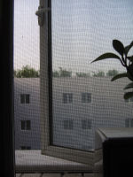 e0085163_728151.jpg