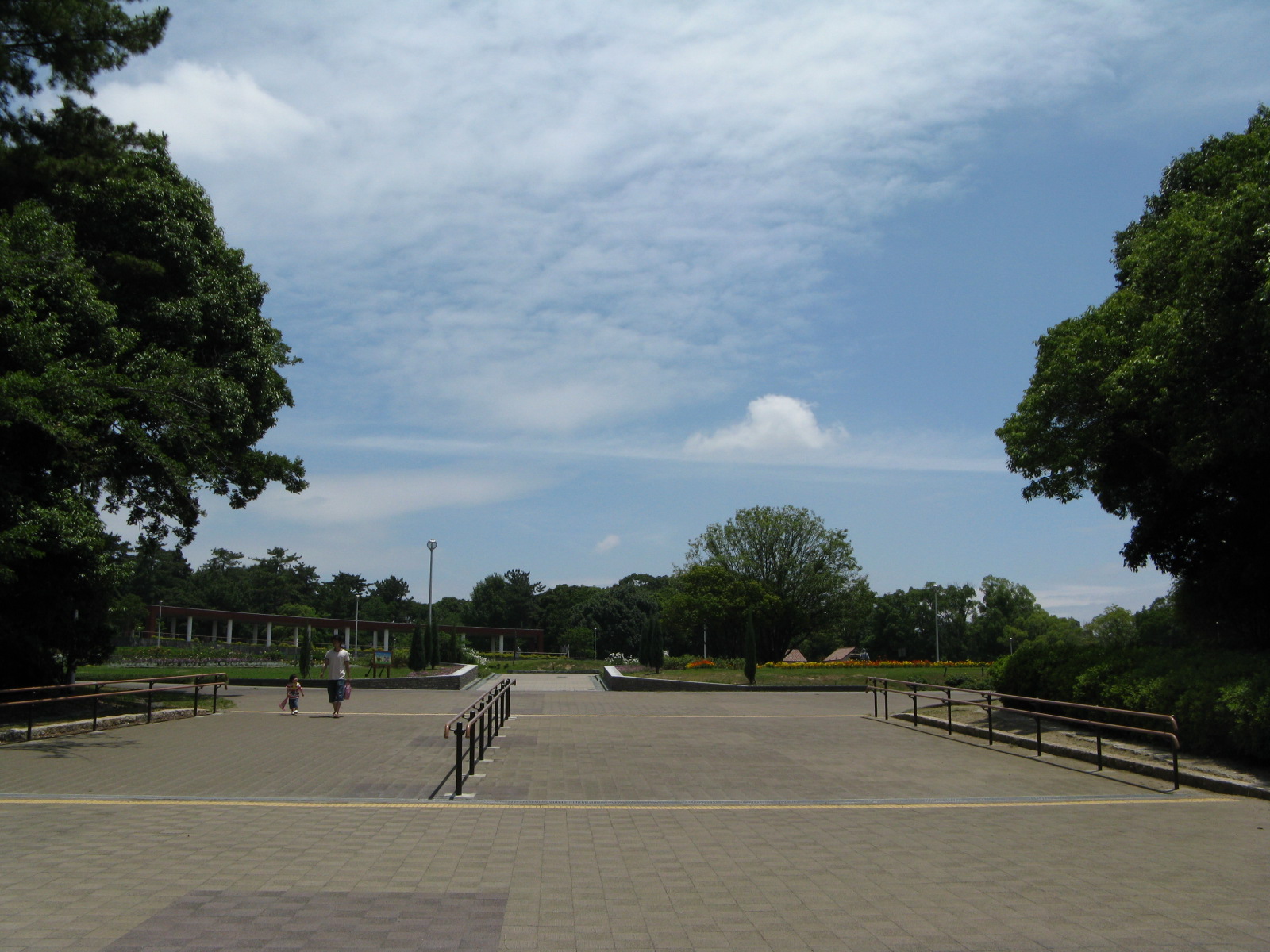 a0114469_1502100.jpg