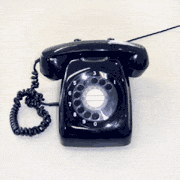 e0167670_1521112.gif