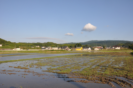 鹿児島で７３歳のマイミクさんと会う_e0171573_1817657.jpg