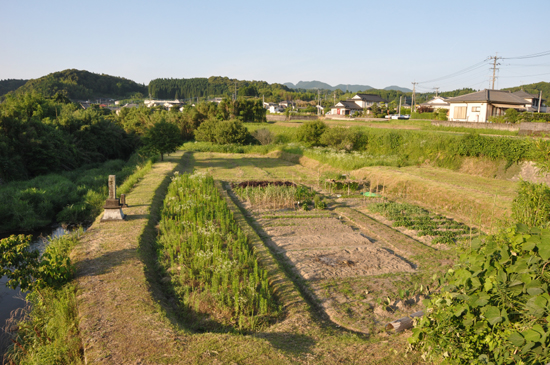 田舎写真(鹿児島・市比野)_e0171573_23104863.jpg