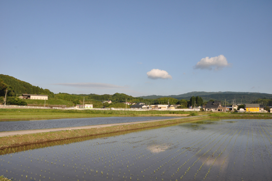 田舎写真(鹿児島・市比野)_e0171573_2310632.jpg