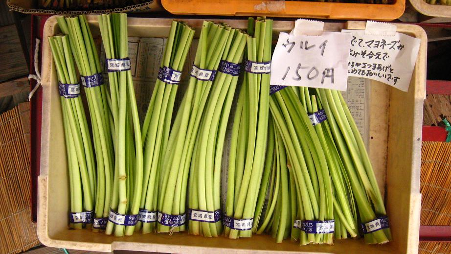 食べてみたかったウルイ_a0107574_852695.jpg