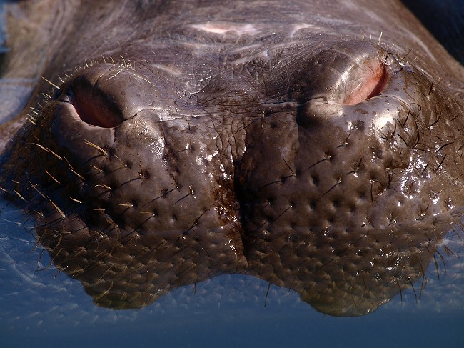 b0145677_20311486.jpg