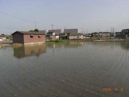 b0002879_20563512.jpg