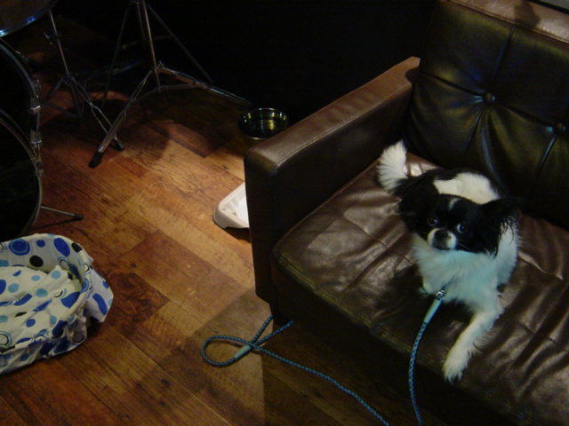 b0120981_20113917.jpg