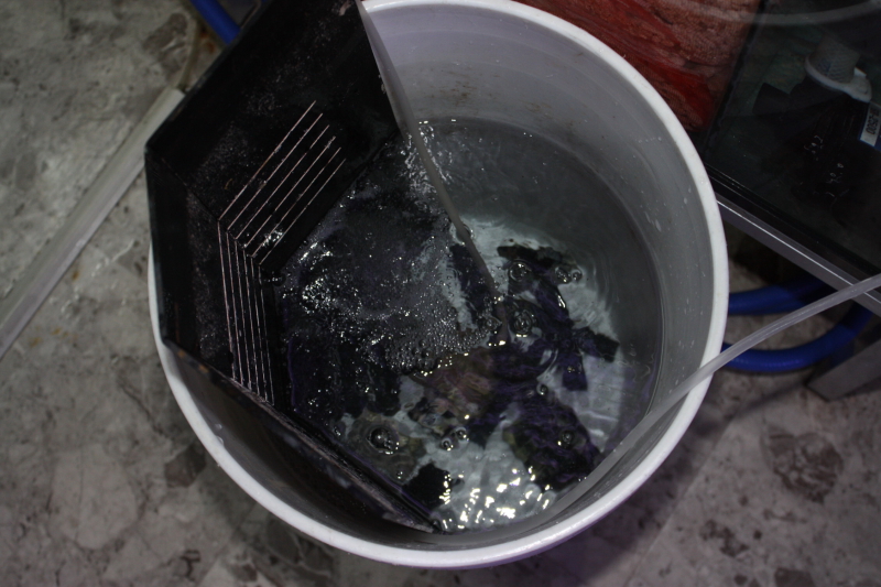 Eze clean 使用レポート_e0173381_14575659.jpg